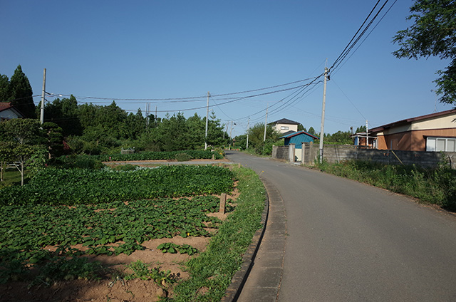 気仙沼大島 -散歩中の風景1-  Hidemi Shimura