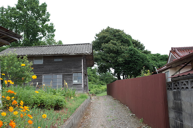 Kesennuma Oshima - neighboring field in Derek Jarman's garden style -  Hidemi Shimura