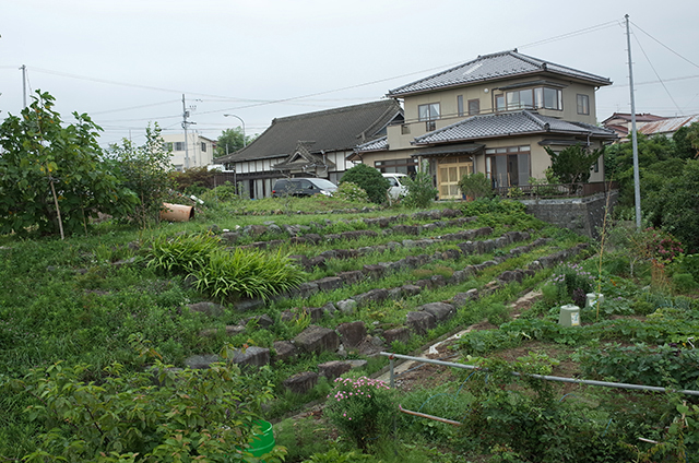 Kesennuma Oshima -Landscape during a walk 3-  Hidemi Shimura